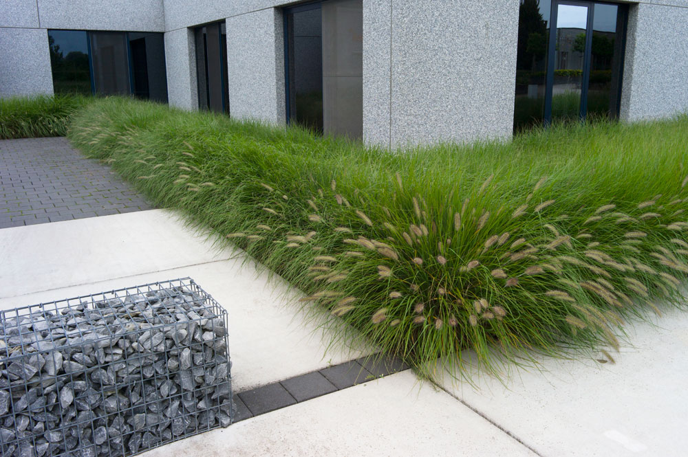 Grassen rond kantoorgebouw